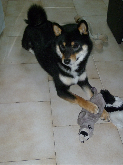 YUKI