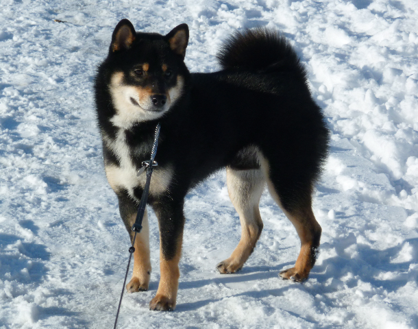 YUKI