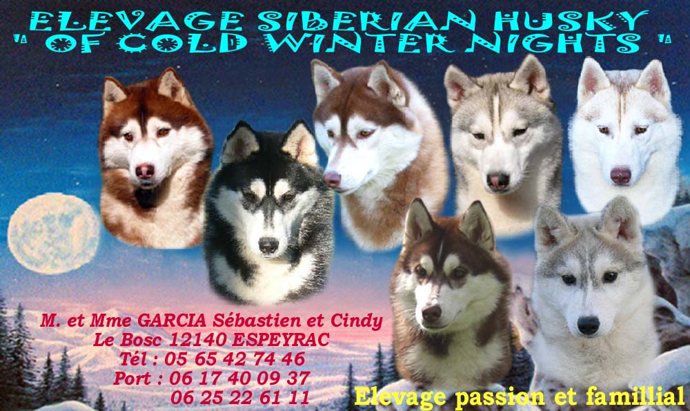 http://www.siberian-husky-passion.com/elevage.htm