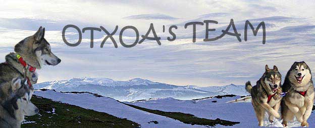 OTXOA'STEAM